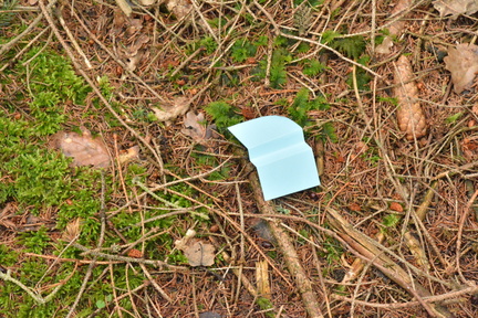 DSC 1788